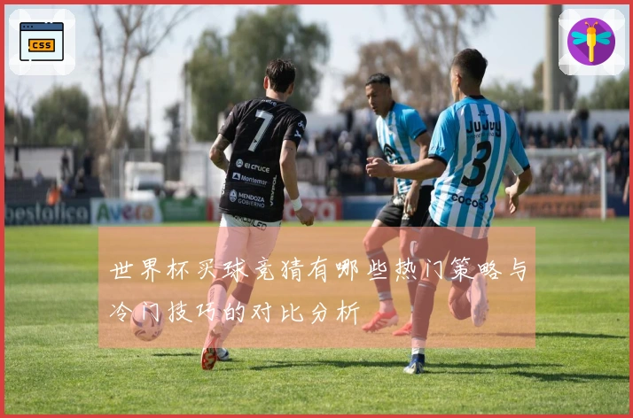 世界杯买球竞猜有哪些热门策略与冷门技巧的对比分析