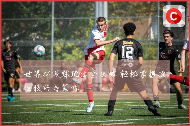 世界杯滚球玩法全攻略 轻松掌握投注技巧与策略