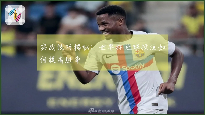 实战技巧揭秘：世界杯让球投注如何提高胜率